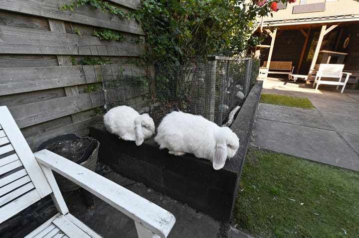 Foto 15 van Spinel 52