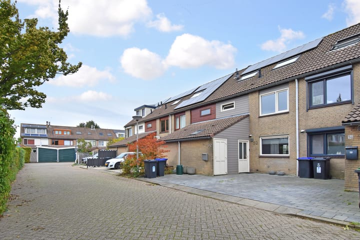 Foto 39 van Spinel 52