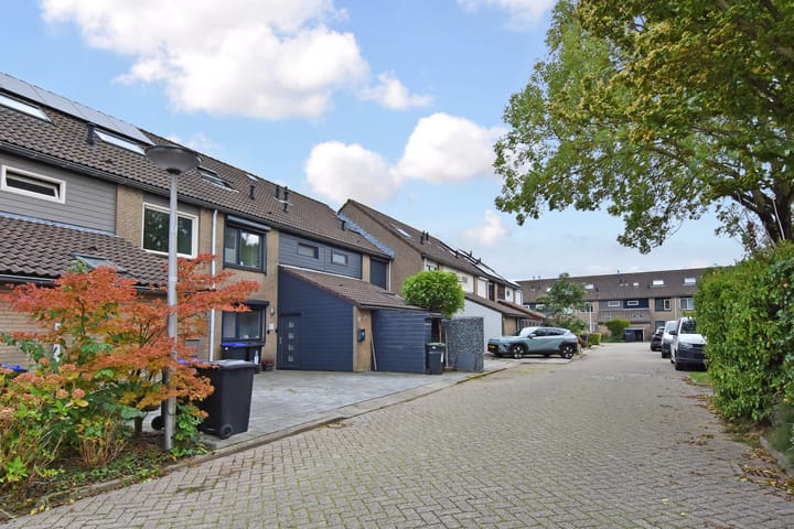 Foto 45 van Spinel 52