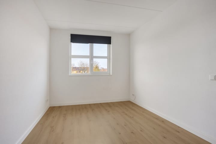 Photo 15 of Schouw 37 11