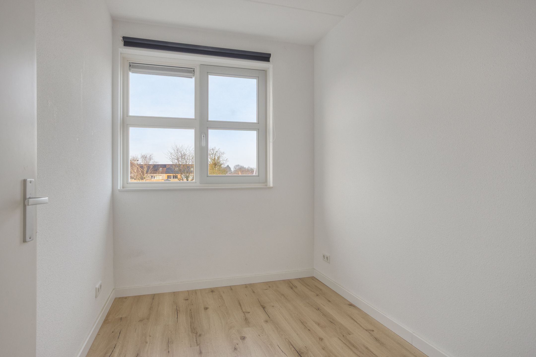 Photo 18 of Schouw 37 11