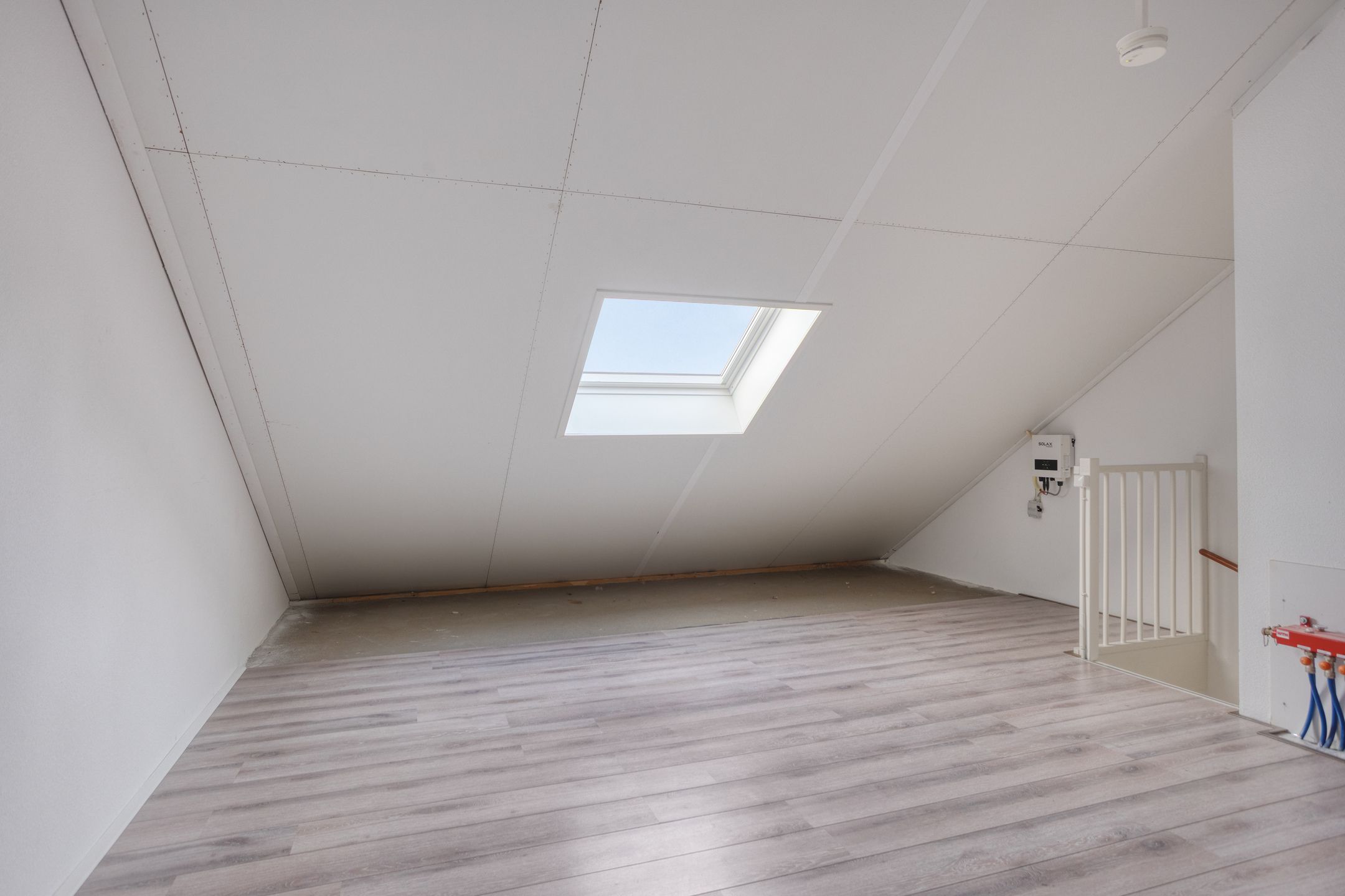 Photo 24 of Schouw 37 11