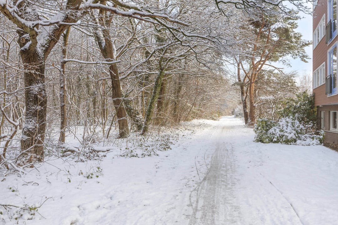 Photo 31 of Erfgooiersstraat 586