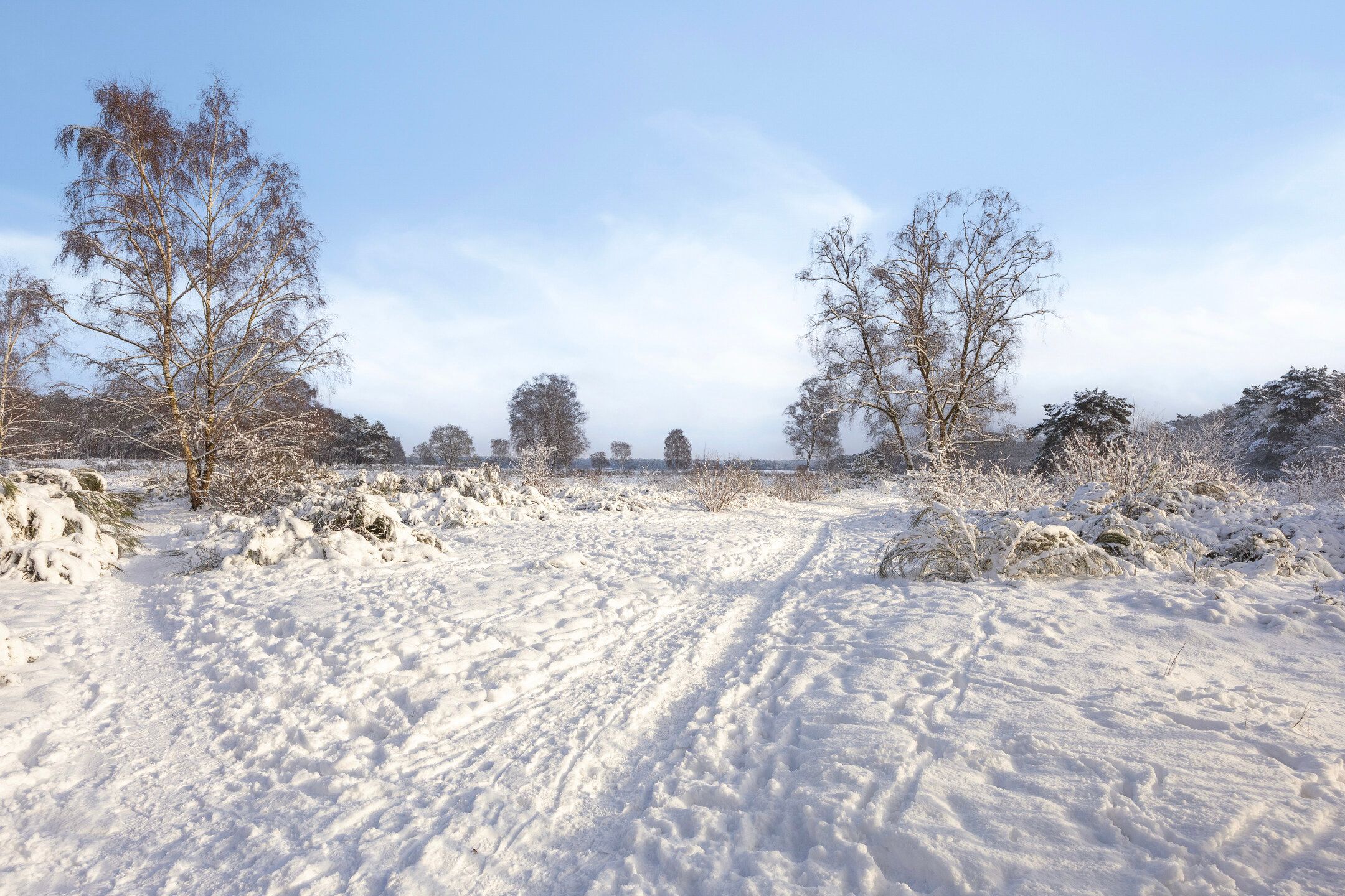 Photo 33 of Erfgooiersstraat 586