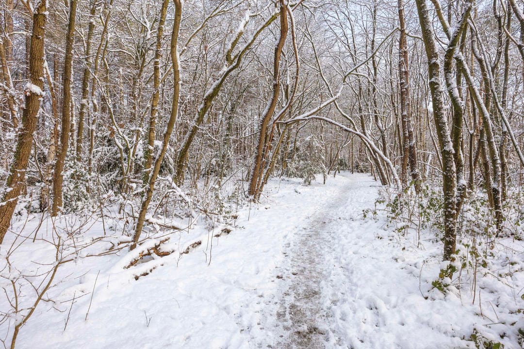 Photo 32 of Erfgooiersstraat 586