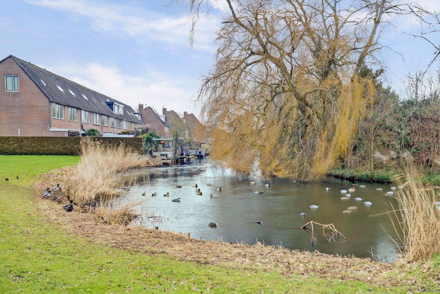 Foto 34 van Gruttolaan 45