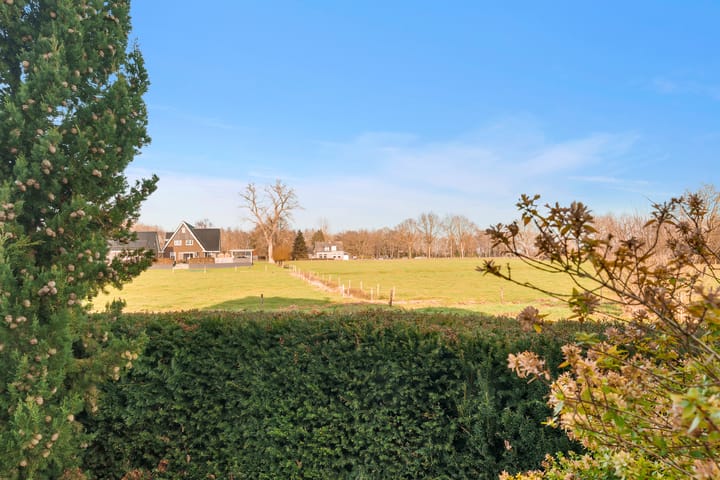 Foto 48 van Pingosingel 4