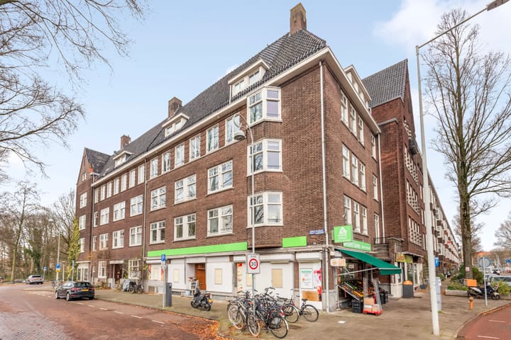 Photo 31 of Albert Neuhuysstraat 34-1