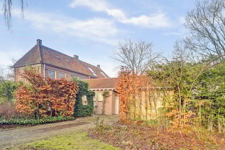 undefined main image