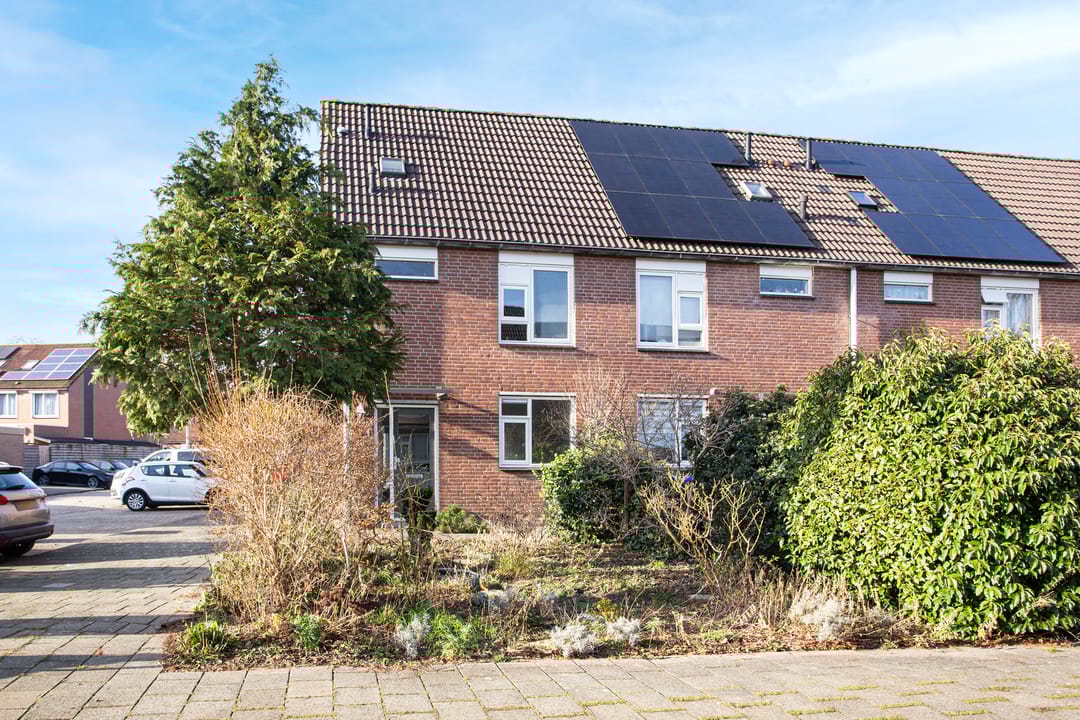 Photo 2 of Zebraweide 1