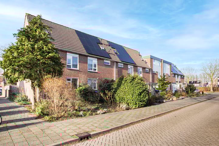 Photo 3 of Zebraweide 1