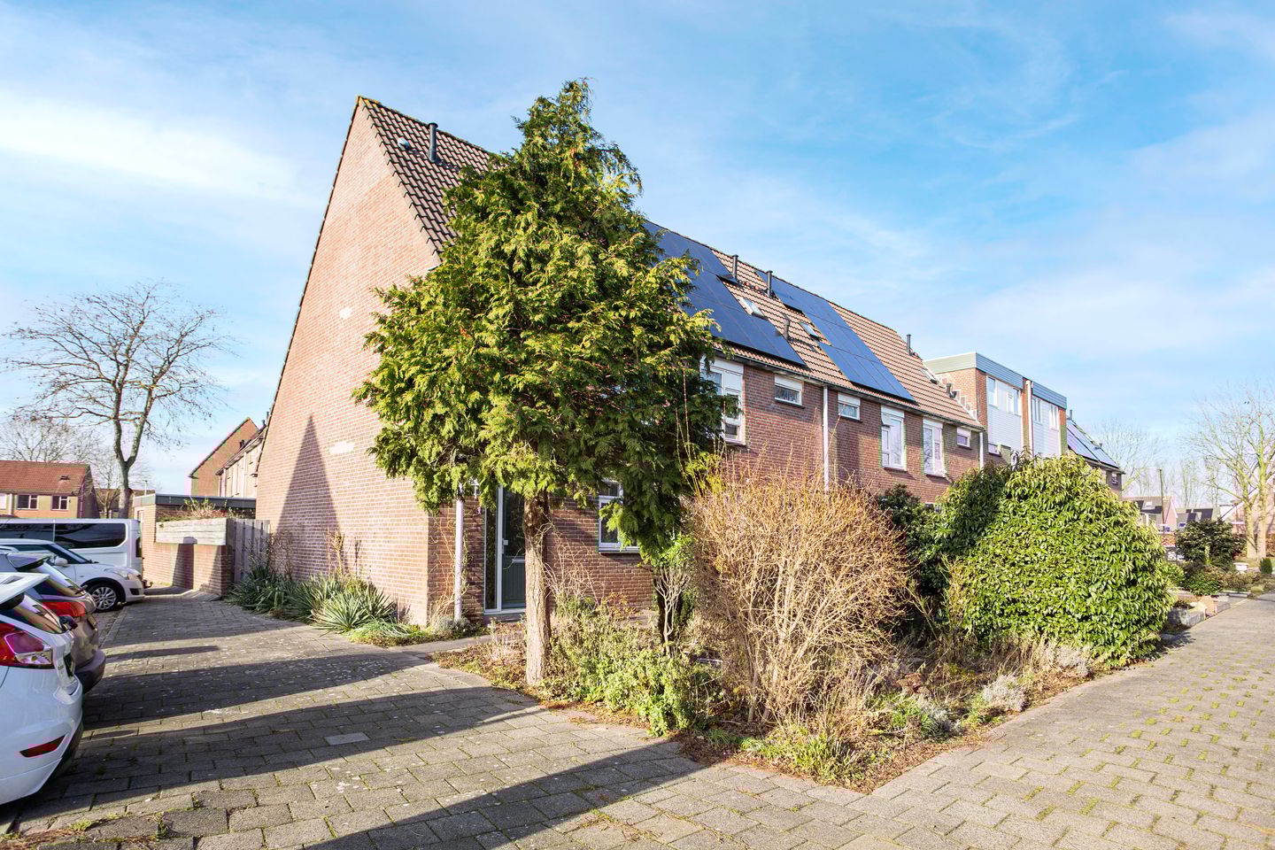 Photo 4 of Zebraweide 1