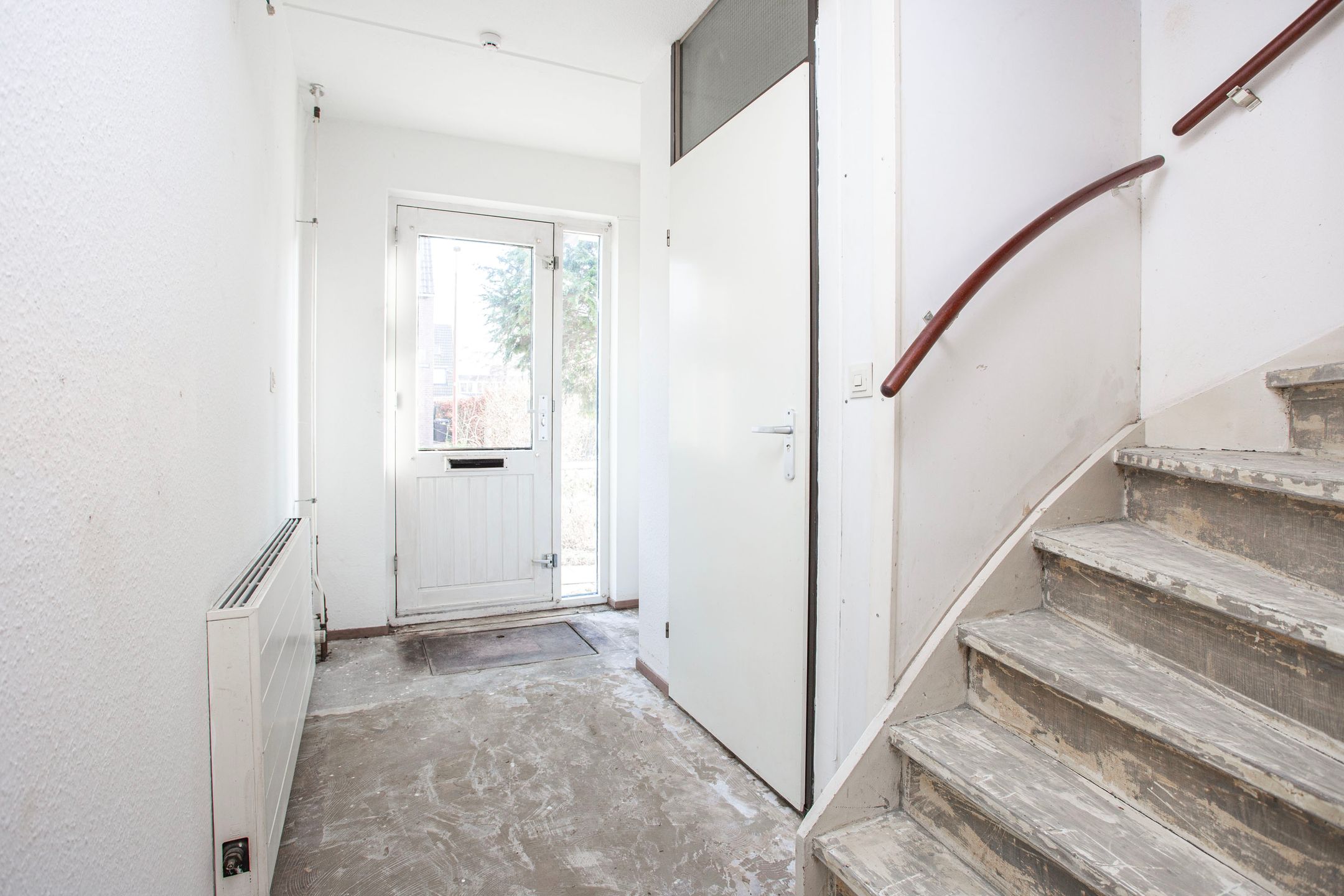 Photo 6 of Zebraweide 1