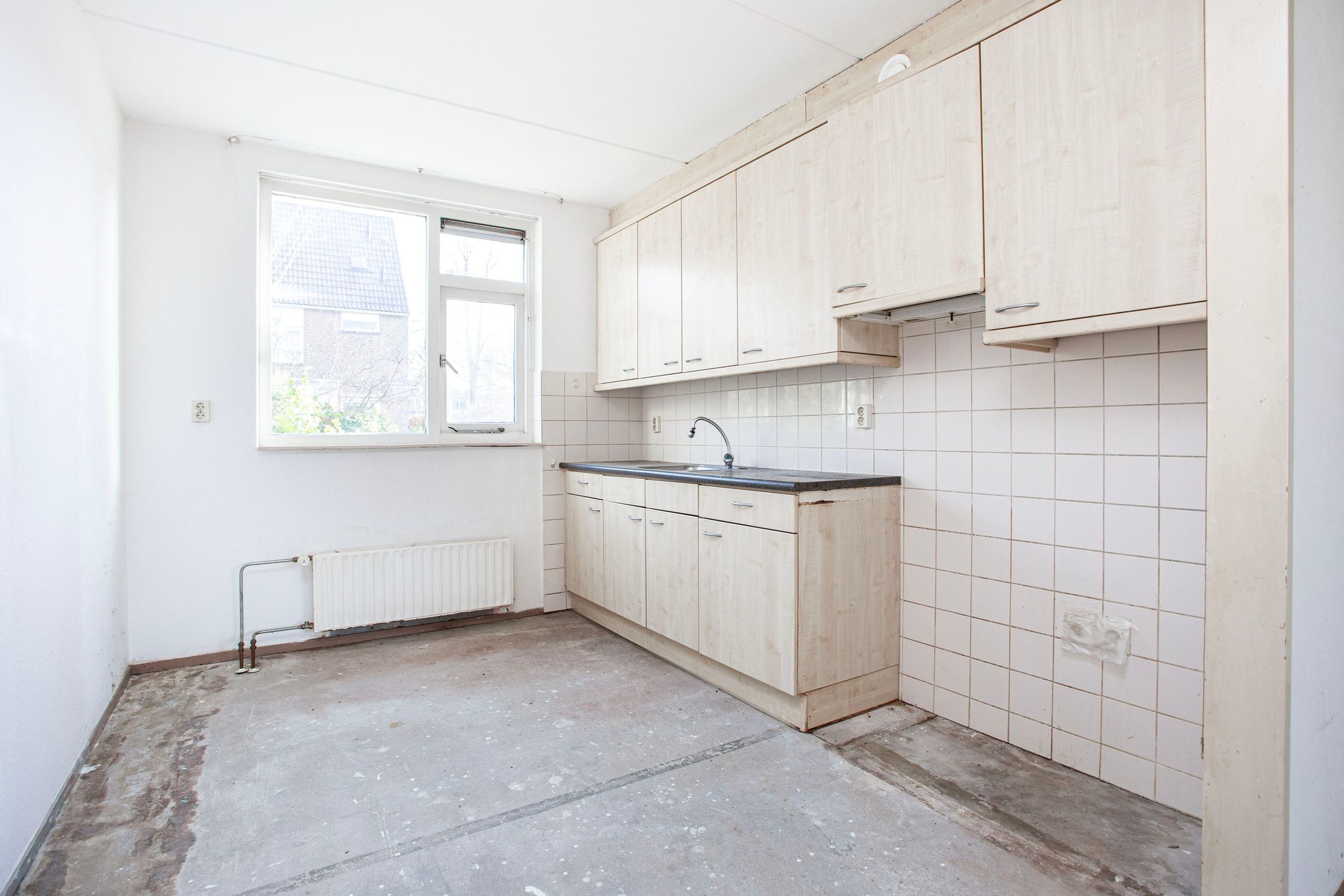 Photo 12 of Zebraweide 1