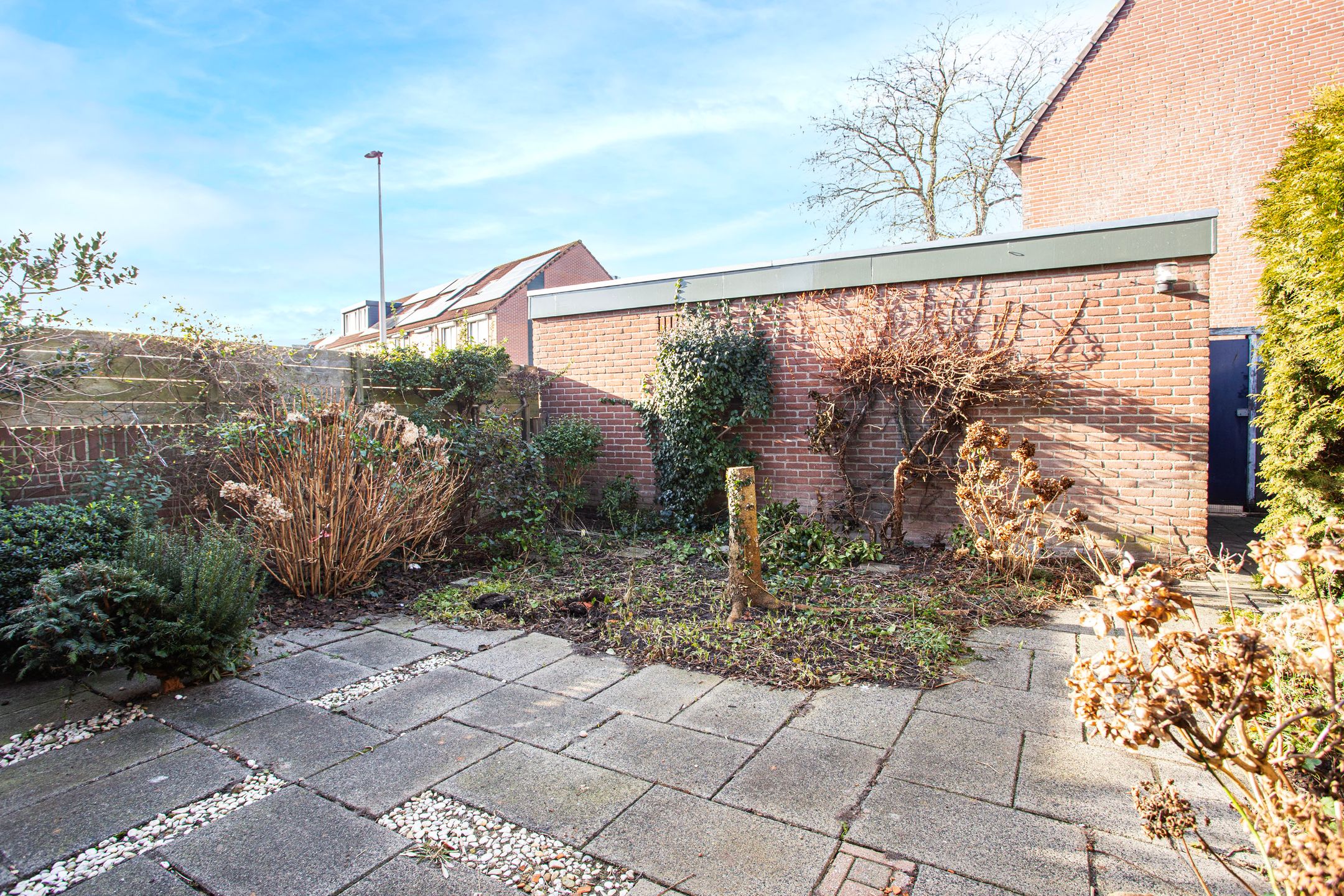 Photo 15 of Zebraweide 1