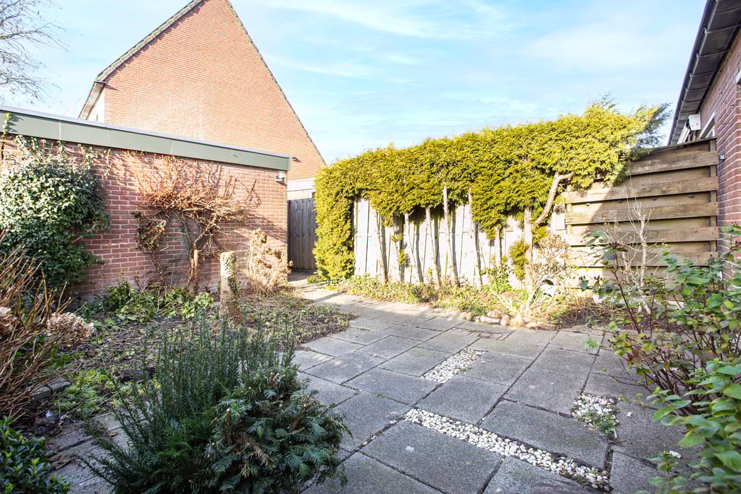 Photo 16 of Zebraweide 1