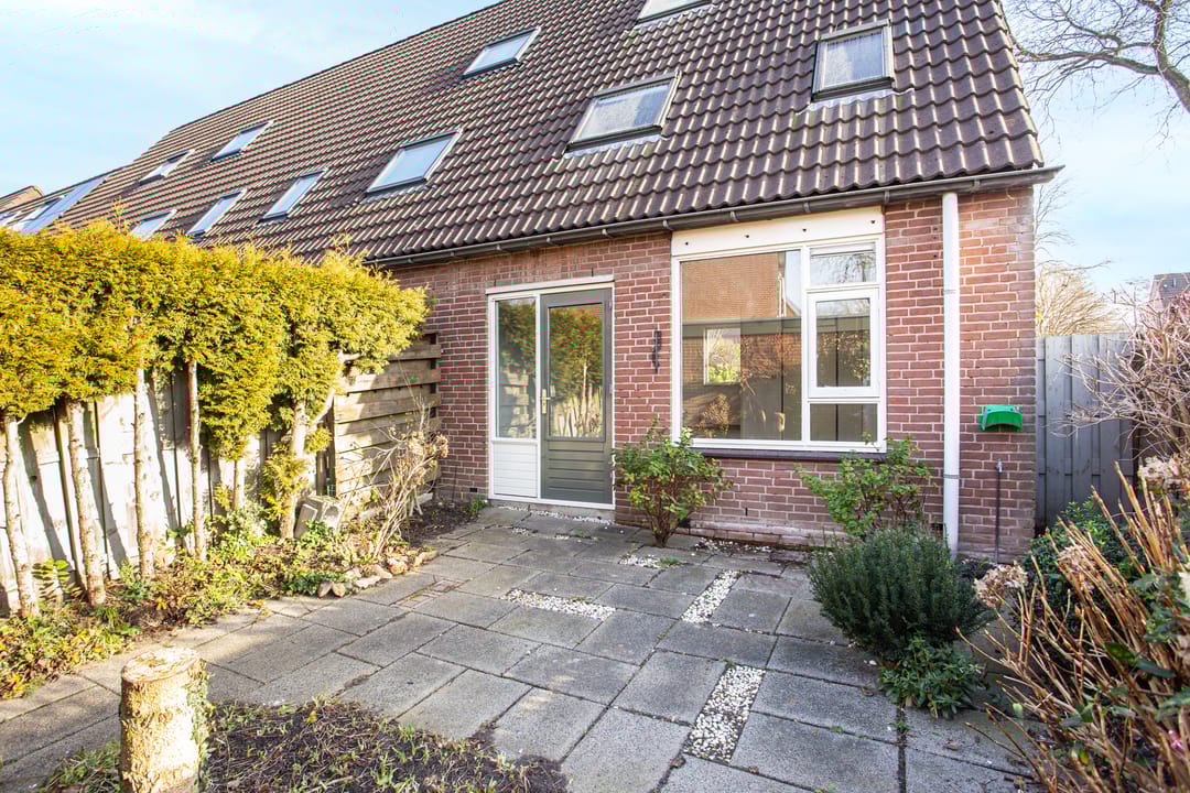 Photo 17 of Zebraweide 1