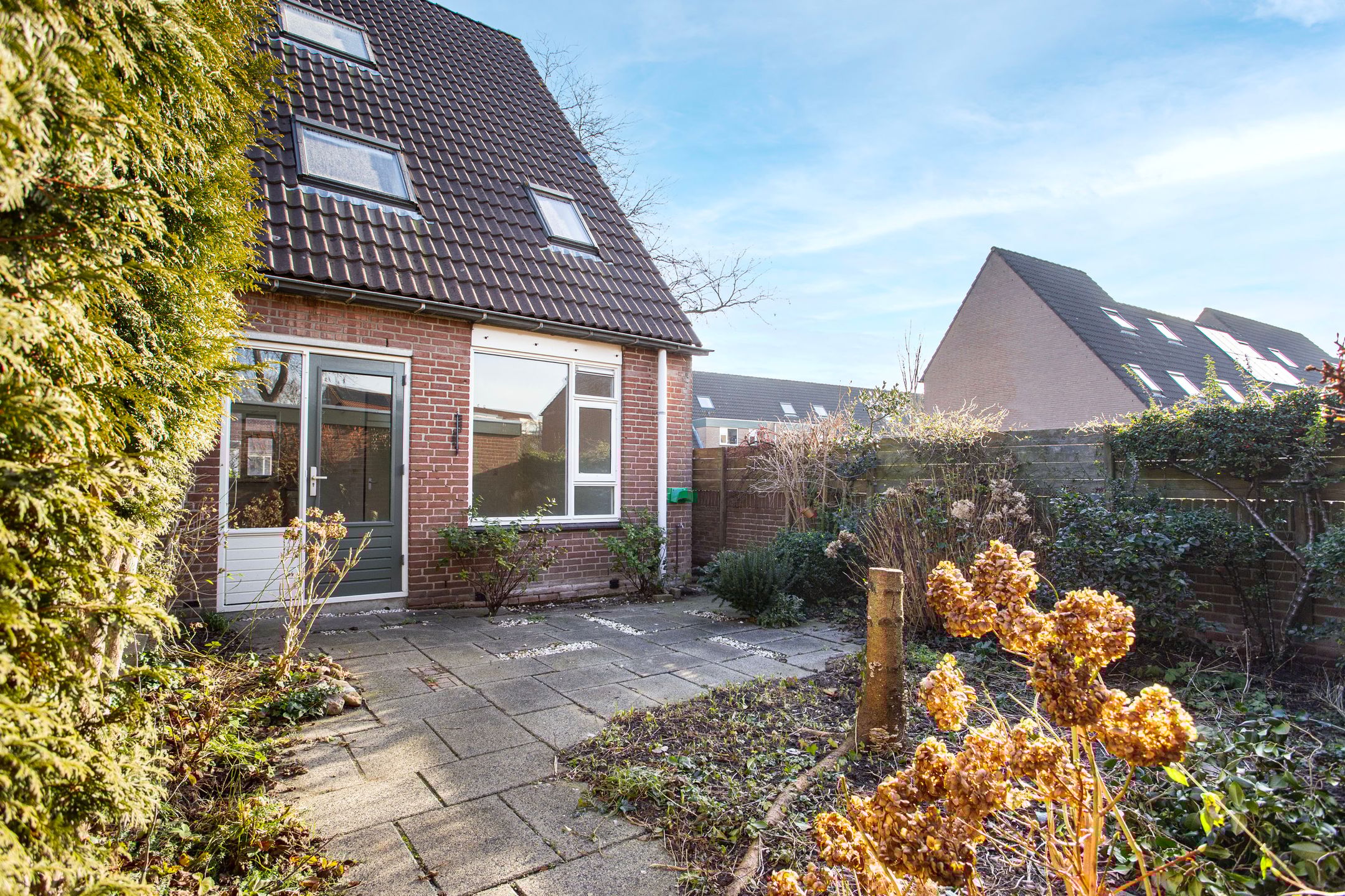 Photo 18 of Zebraweide 1