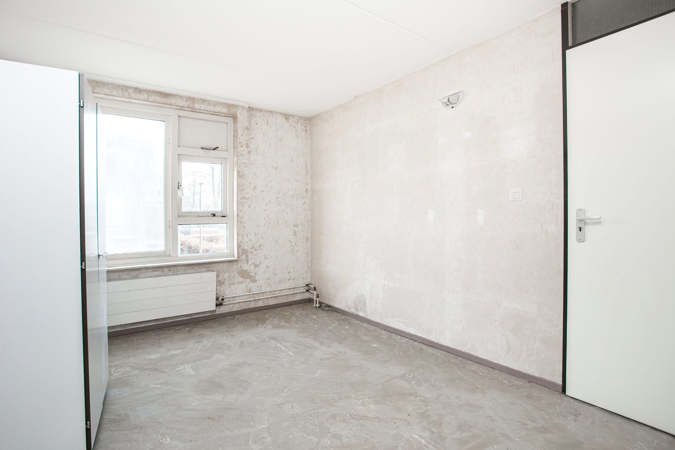 Photo 24 of Zebraweide 1