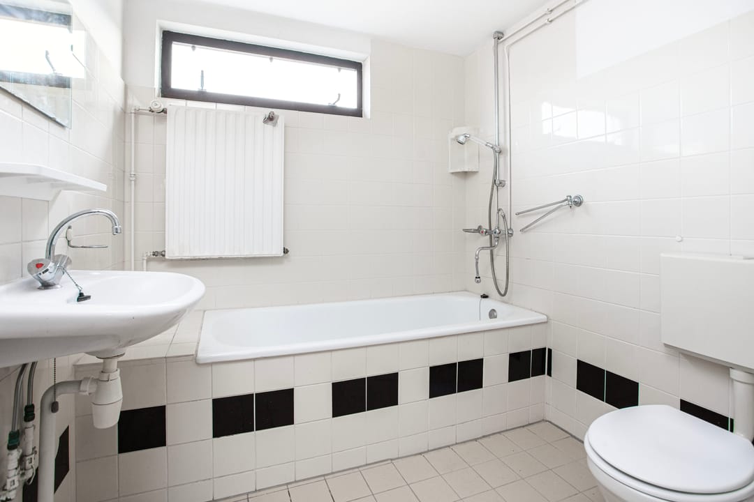 Photo 26 of Zebraweide 1