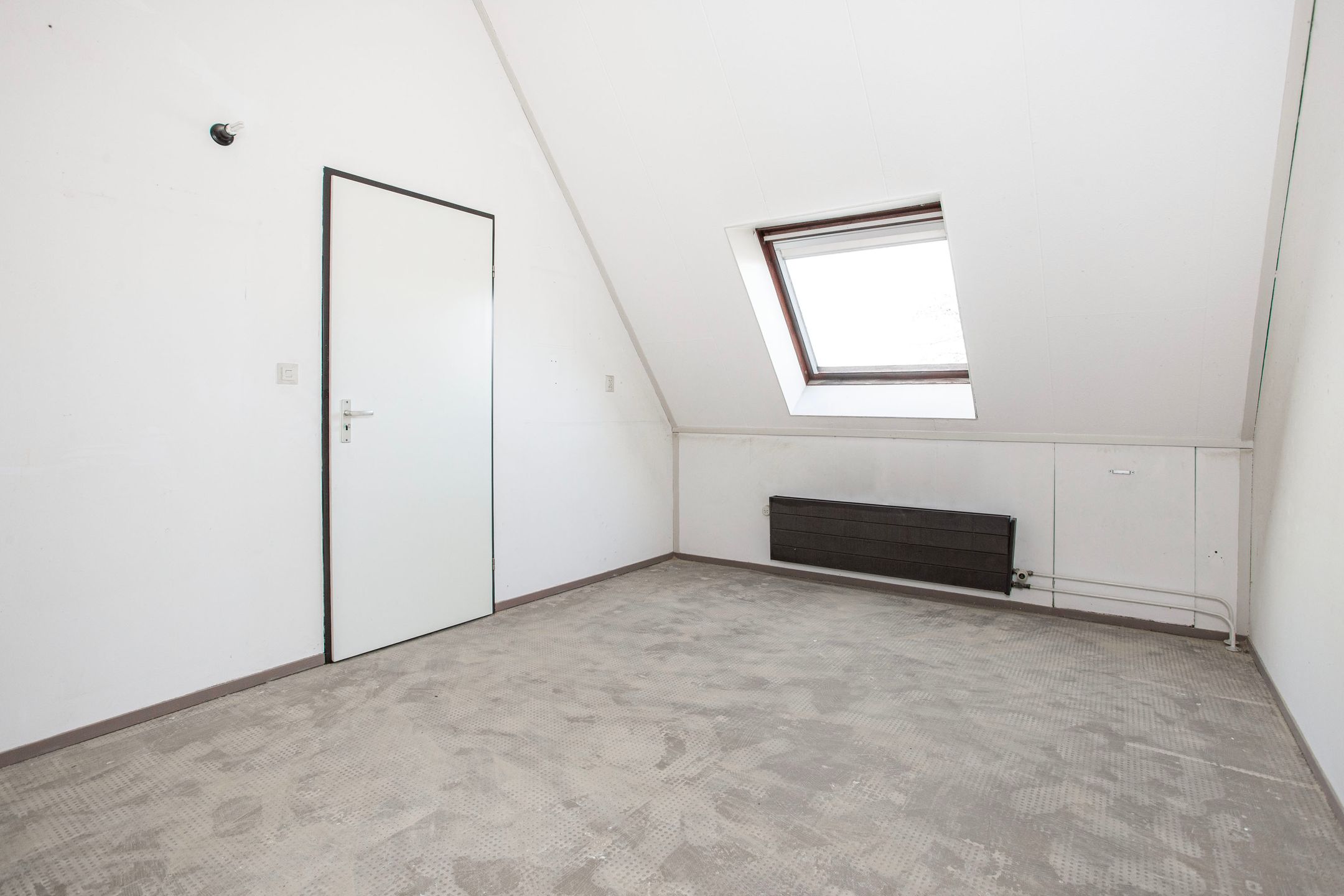 Photo 30 of Zebraweide 1