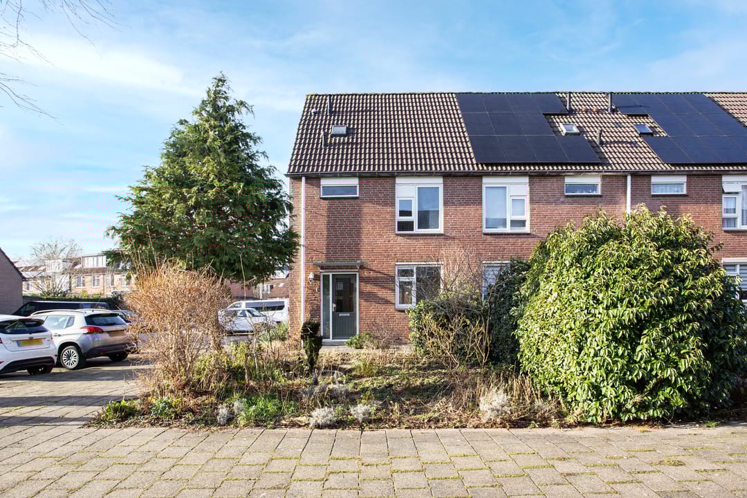 Photo 32 of Zebraweide 1