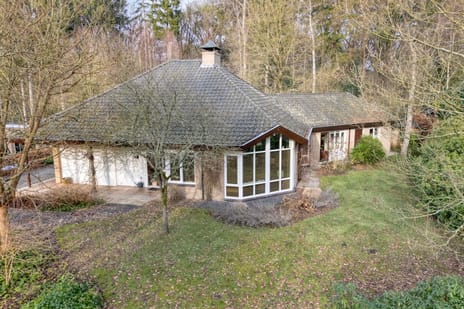 undefined main image