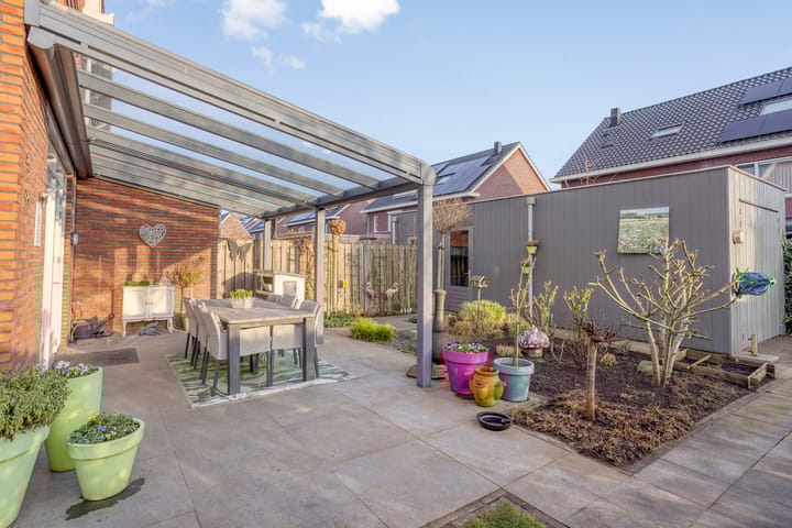 Foto 6 van Slagenland 2