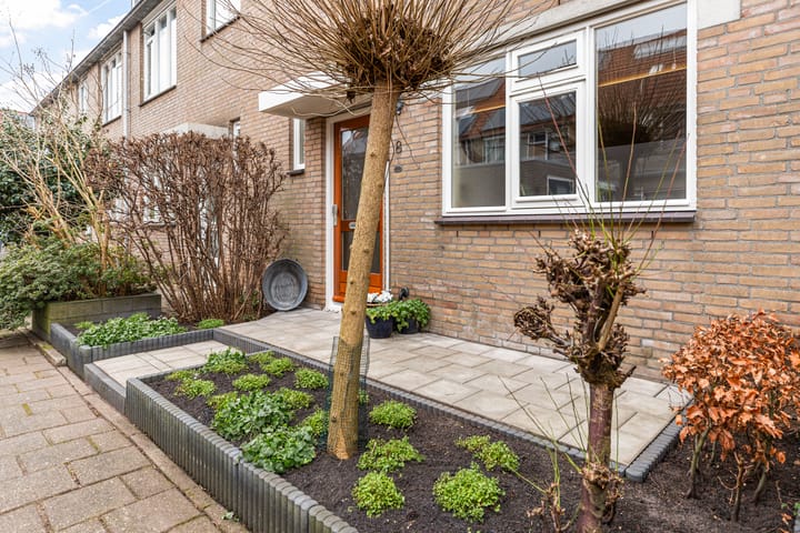 Foto 7 van Waterdekmos 8