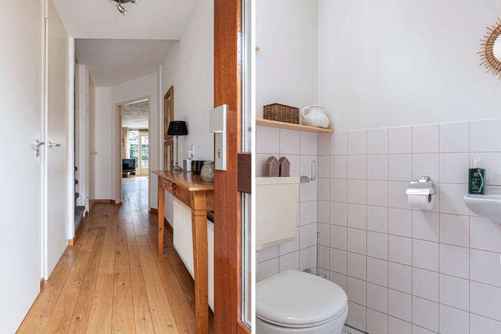 Foto 8 van Waterdekmos 8