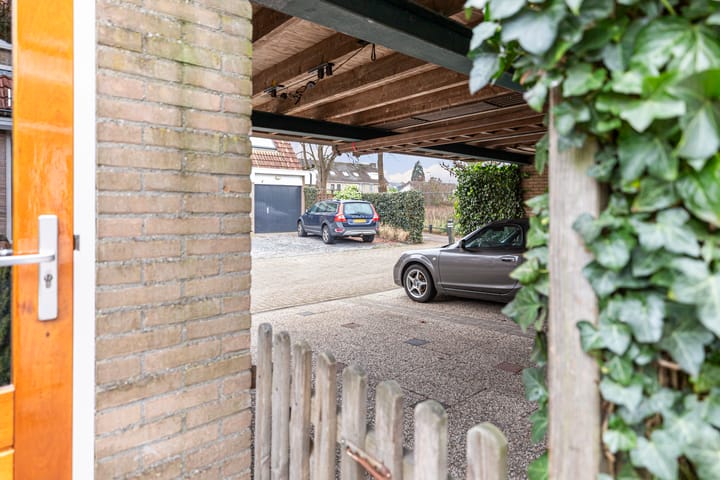 Foto 42 van Waterdekmos 8