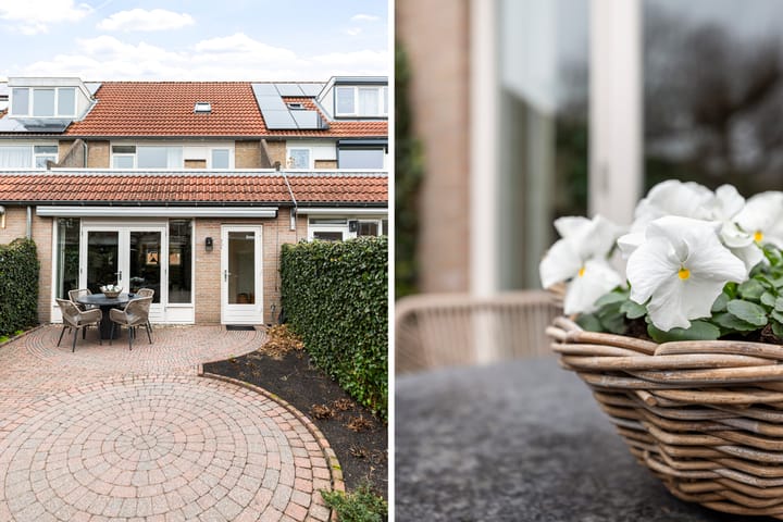 Foto 44 van Waterdekmos 8