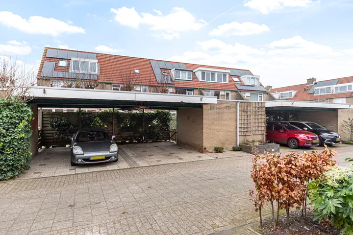 Foto 45 van Waterdekmos 8