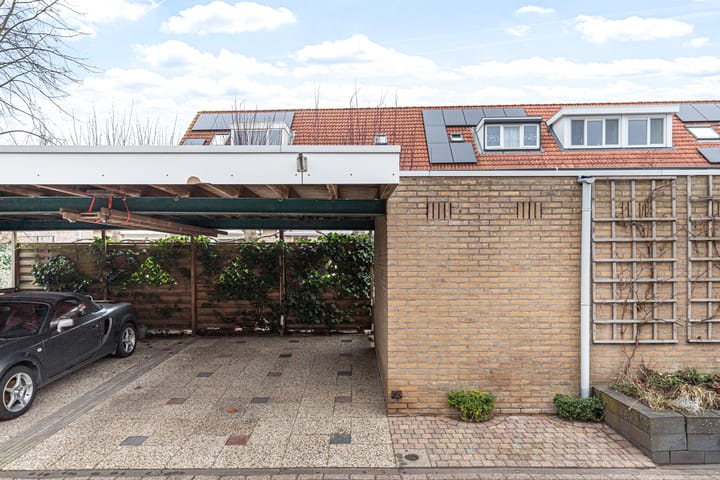 Foto 46 van Waterdekmos 8