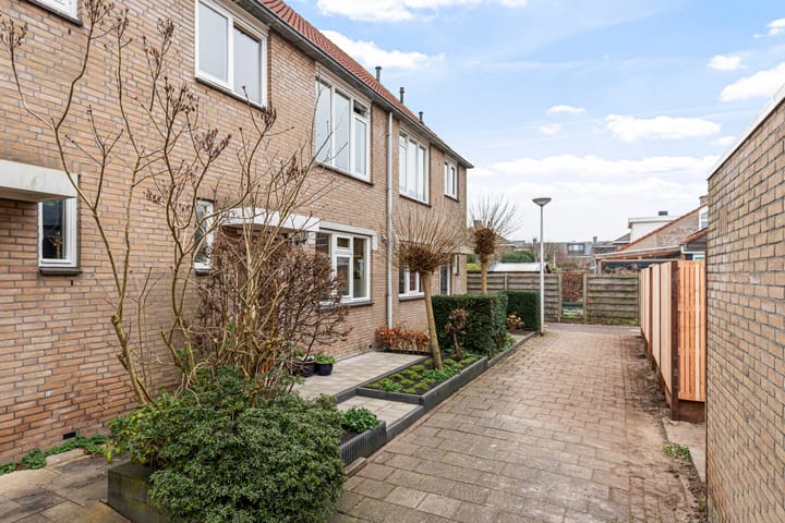 Foto 49 van Waterdekmos 8