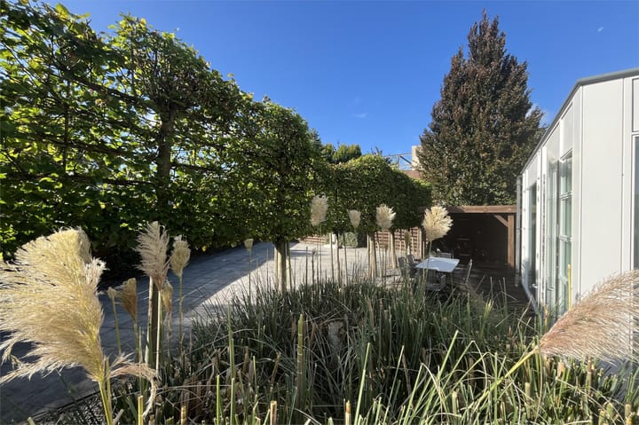 Foto 21 van Lilian Ngoyiweg 160