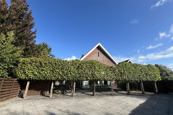 Foto 22 van Lilian Ngoyiweg 160