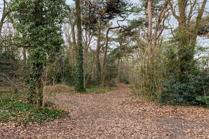 Photo 42 of Leyplantsoen 5