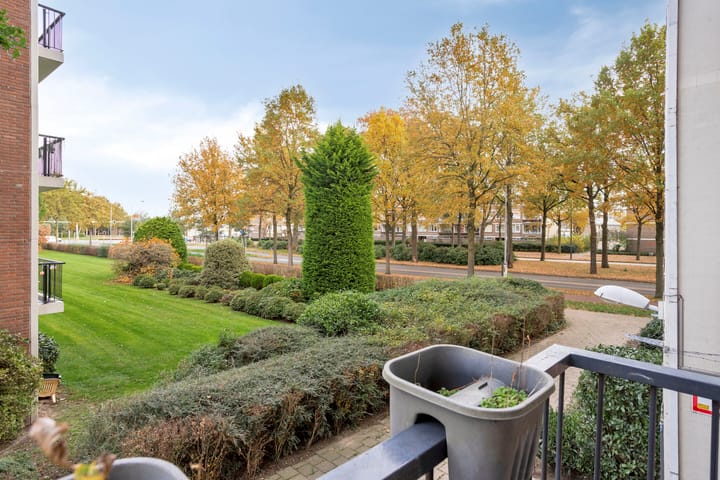 Foto 24 van Pisanostraat 154