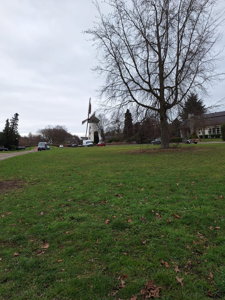 Foto 52 van Bogardeind 76-B