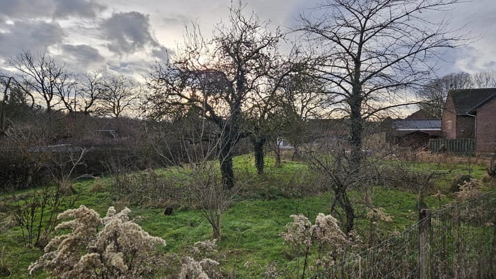 Photo 5 of Bornerweg ong.