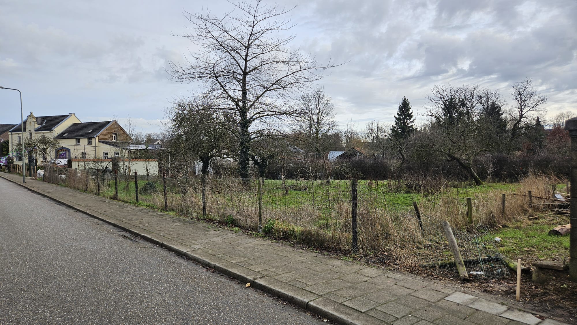 Photo 6 of Bornerweg ong.