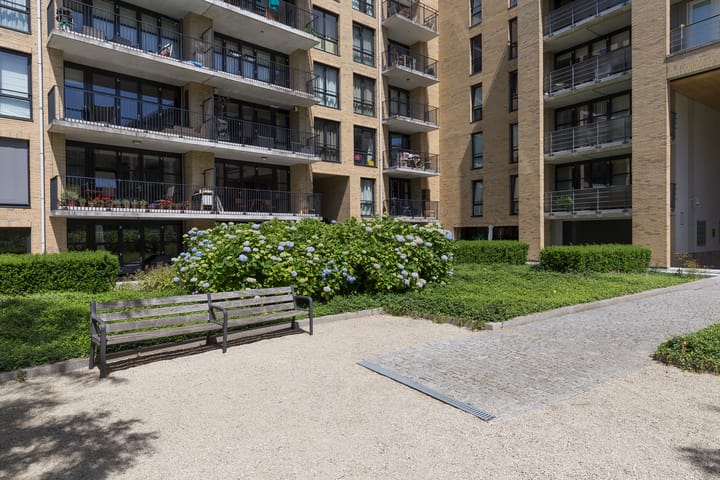 Foto 48 van Rheastraat 14