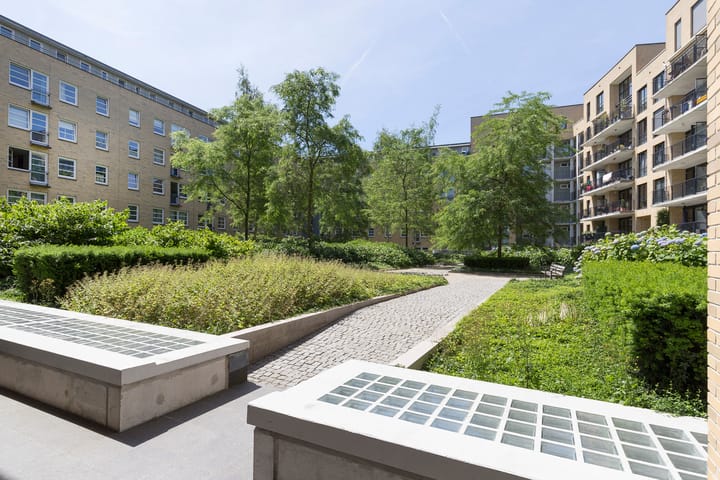 Foto 49 van Rheastraat 14