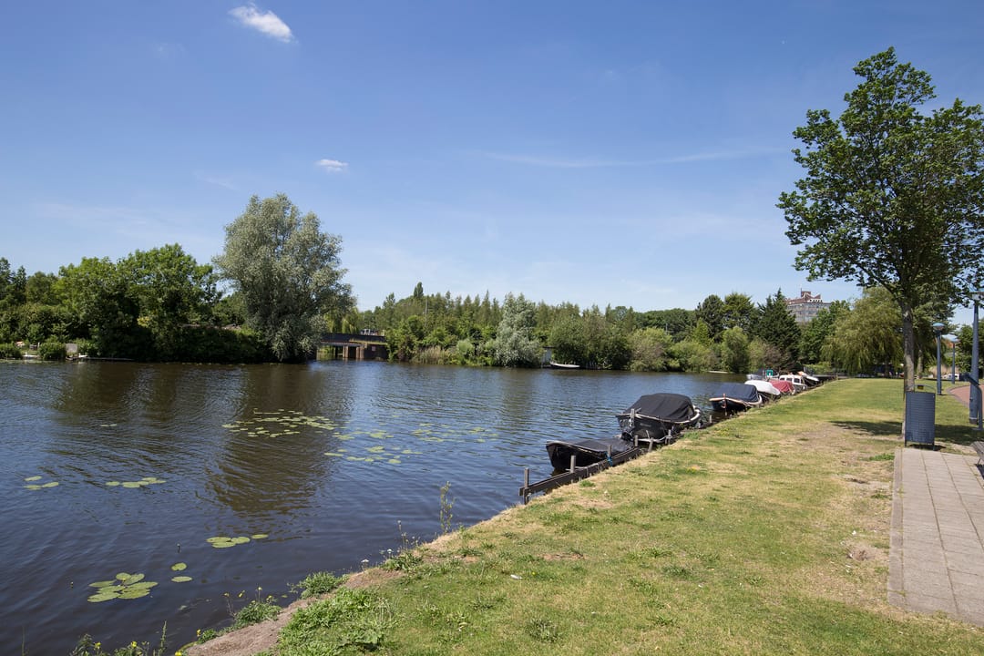 Foto 53 van Rheastraat 14