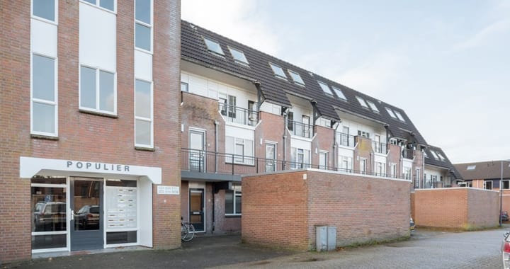 Foto 3 van Populier 205