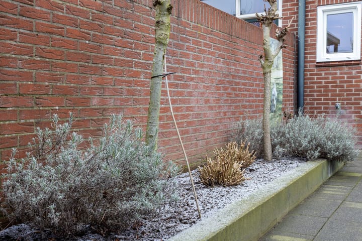 Foto 21 van Vondelstraat 14