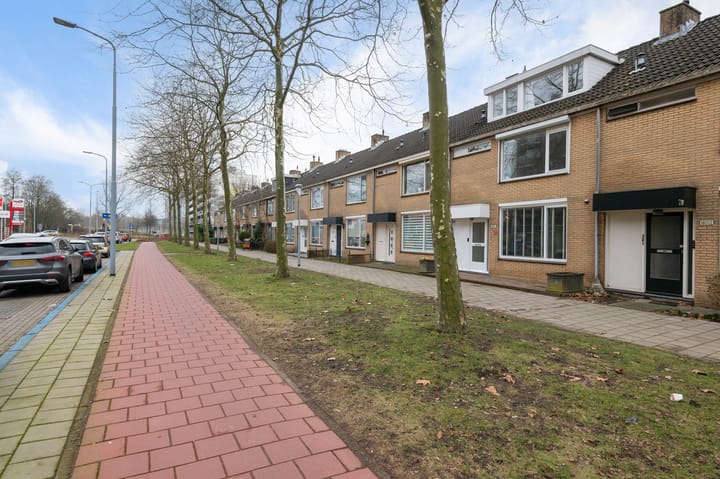 Foto 36 van Graan voor Visch 18011