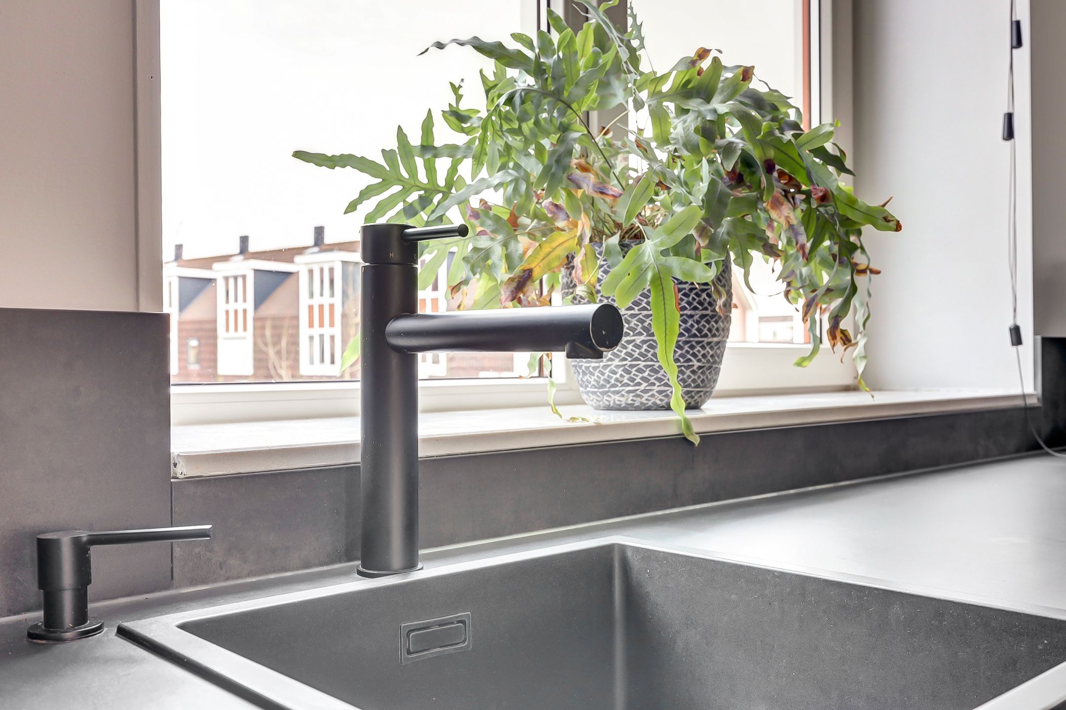 Foto 12 van Zalm 146