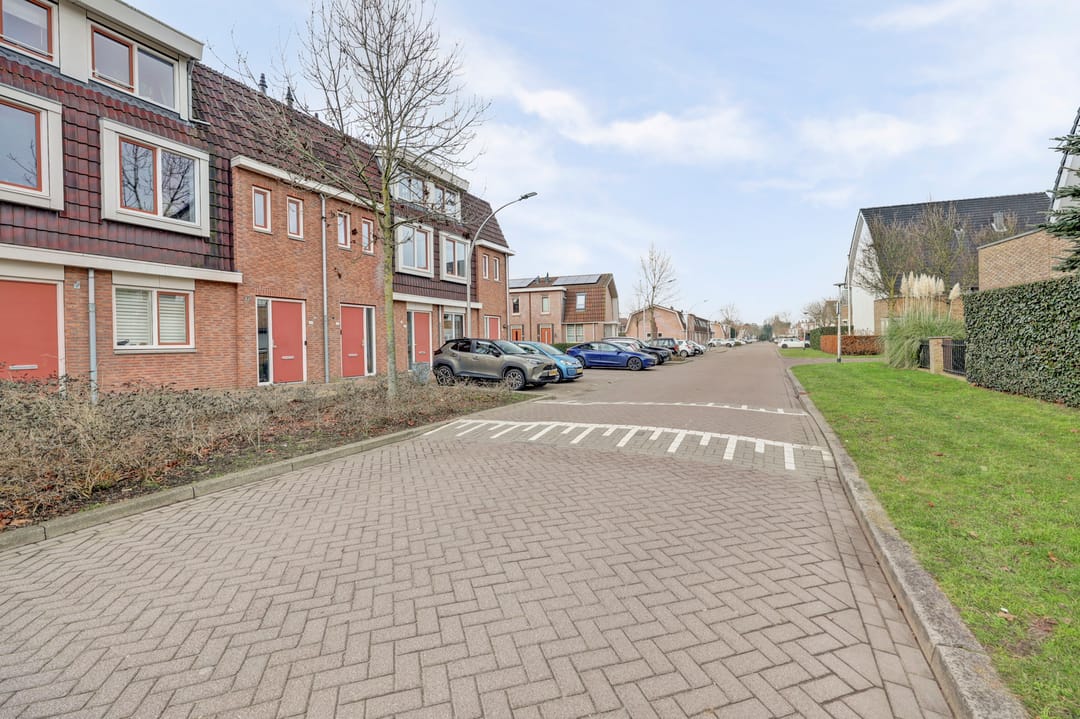 Foto 31 van Zalm 146